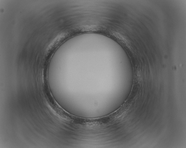 X0000077400686200611032027