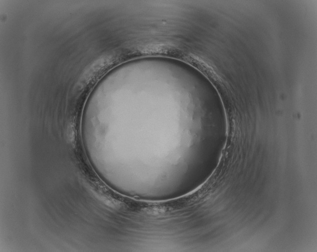 X0000077400687200611032027