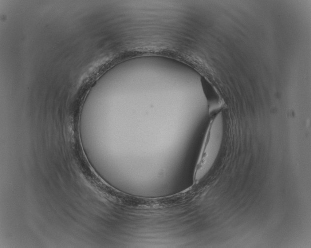 X0000077400688200611032027