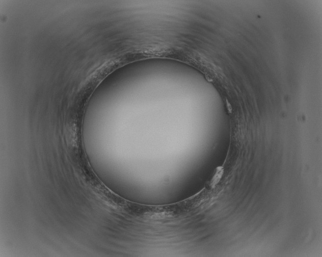 X0000077400689200611032027