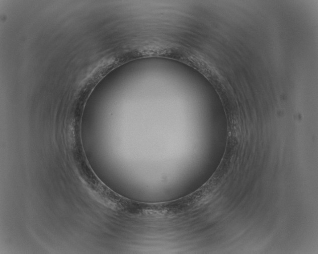 X0000077400690200611032027