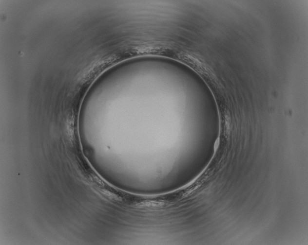 X0000077400691200611032027