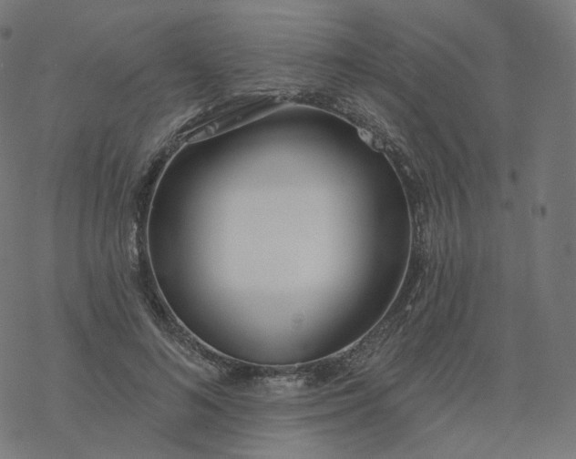 X0000077400692200611032027