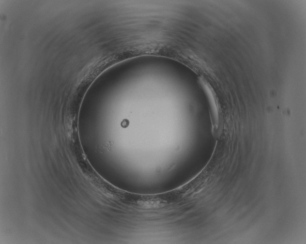 X0000077400693200611032027