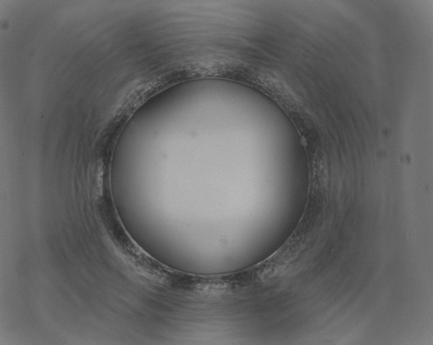 X0000077400694200611032027