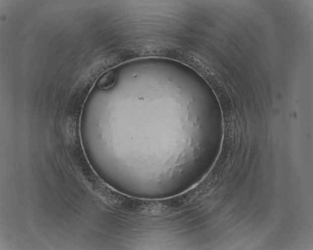 X0000077400695200611032027