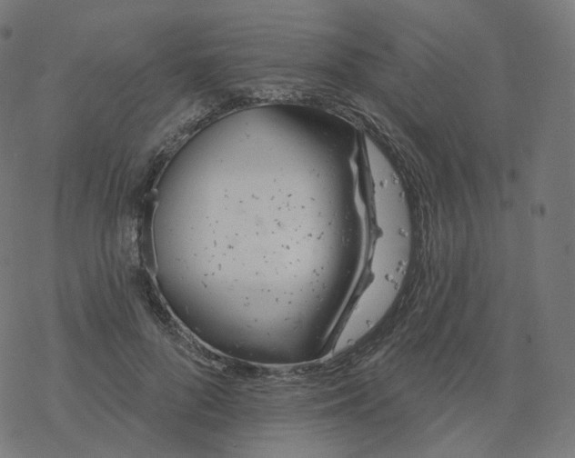 X0000077400696200611032027