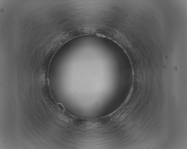 X0000077400697200611032027