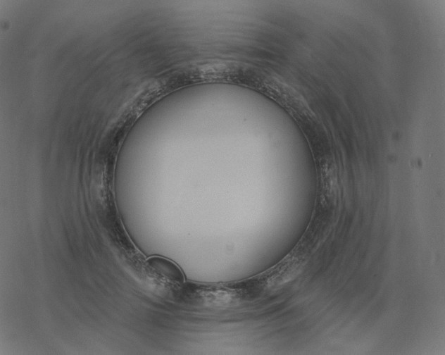 X0000077400698200611032027