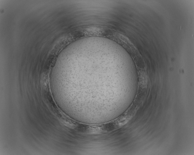 X0000077400701200611032027