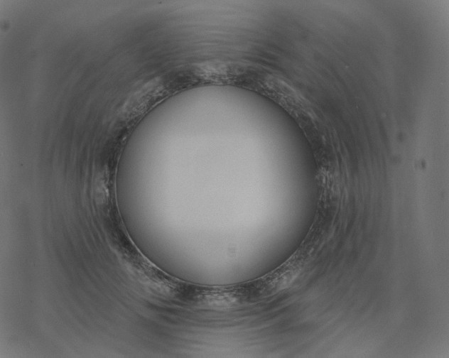 X0000077400702200611032027