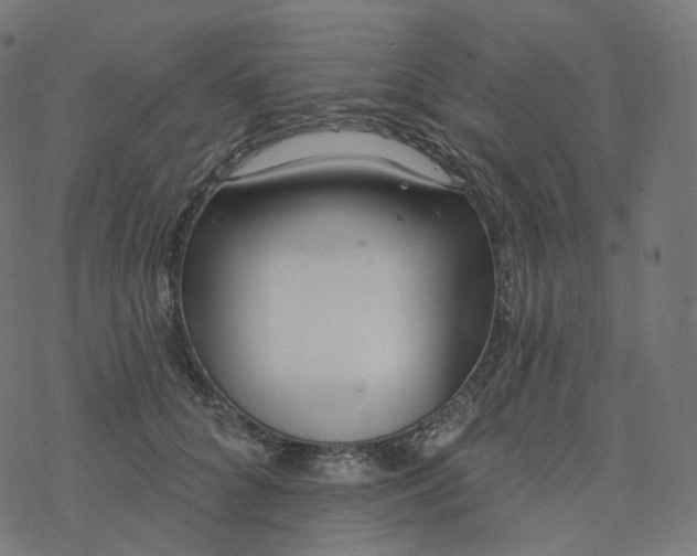 X0000077400704200611032027