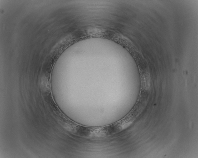 X0000077400705200611032027