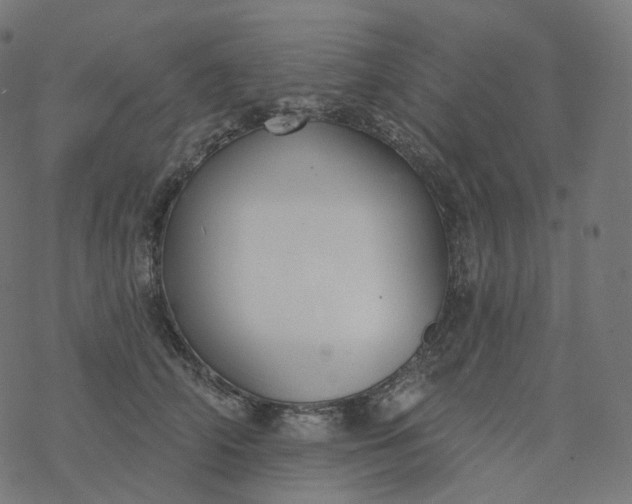 X0000077400706200611032027