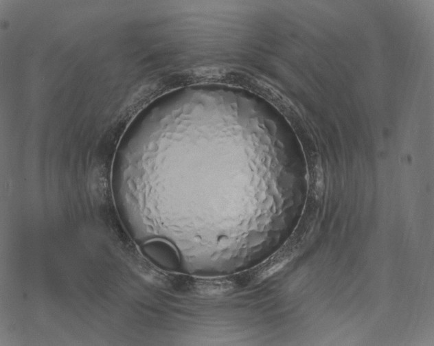 X0000077400707200611032027