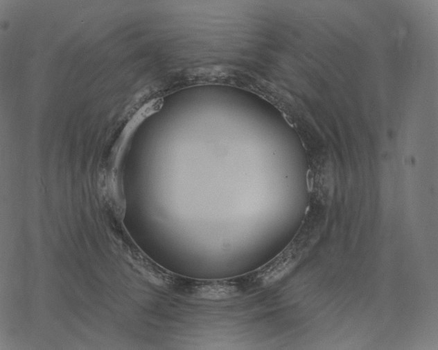 X0000077400708200611032027