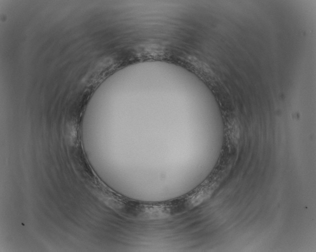 X0000077400709200611032027