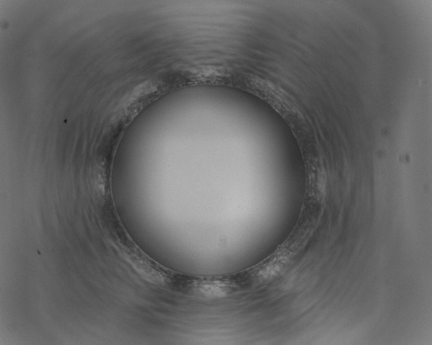 X0000077400710200611032026