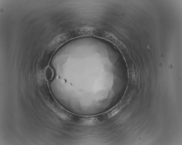 X0000077400711200611032026