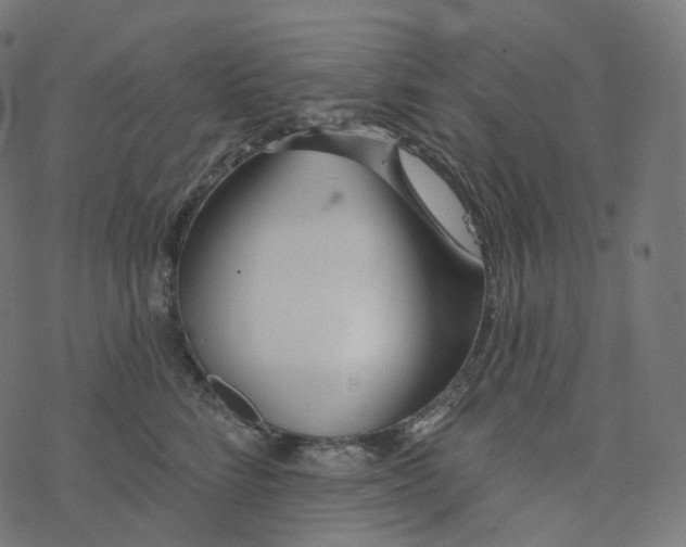 X0000077400712200611032026