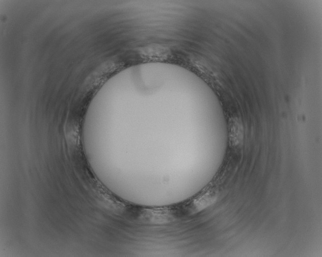 X0000077400713200611032026