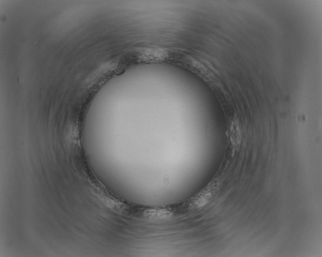 X0000077400714200611032026