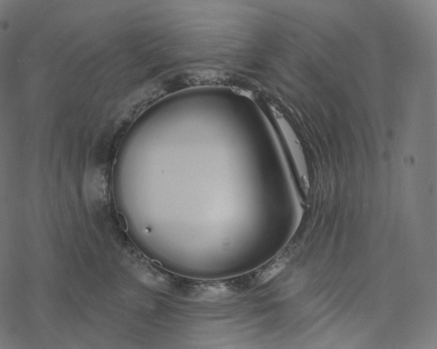 X0000077400715200611032026