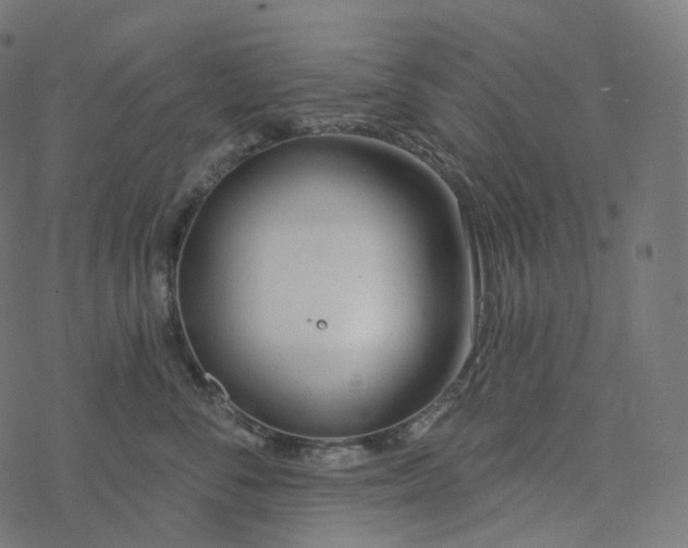 X0000077400716200611032026