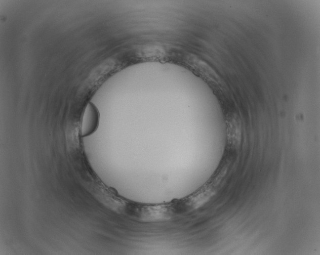 X0000077400717200611032026