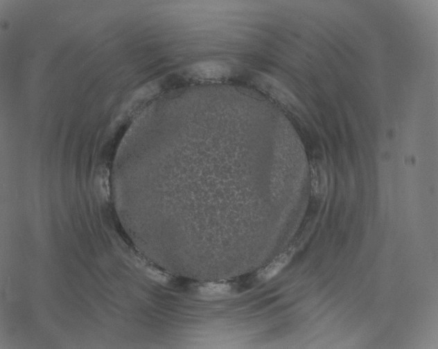 X0000077400718200611032026