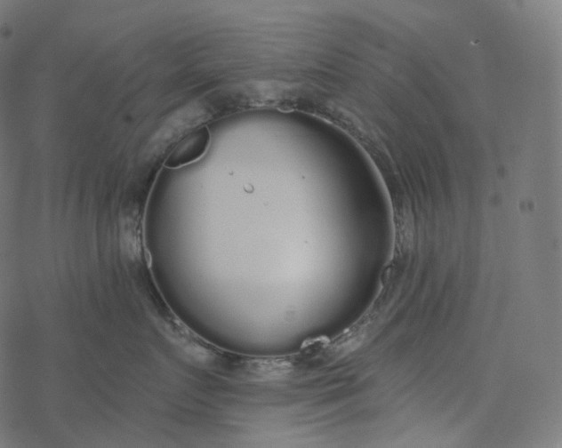 X0000077400719200611032026