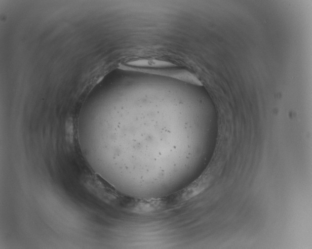 X0000077400720200611032026