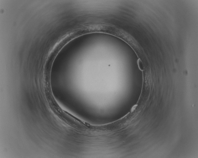 X0000077400722200611032026