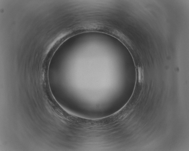 X0000077400723200611032026