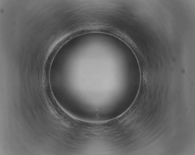 X0000077400724200611032026