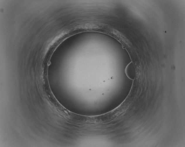 X0000077400727200611032026