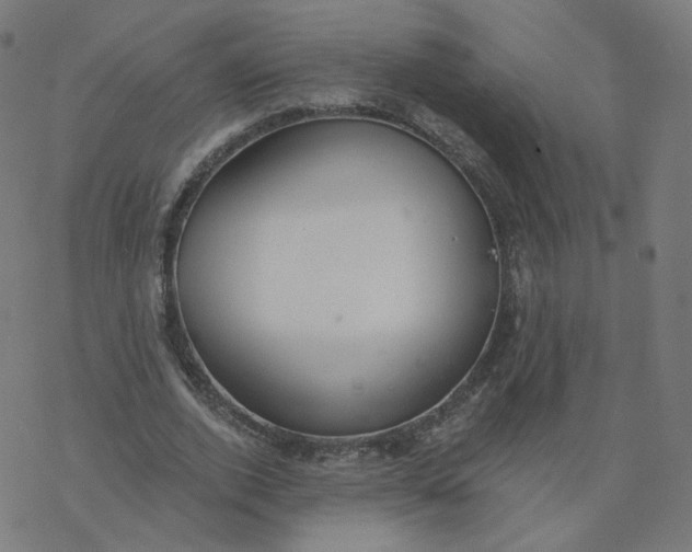 X0000077400728200611032026