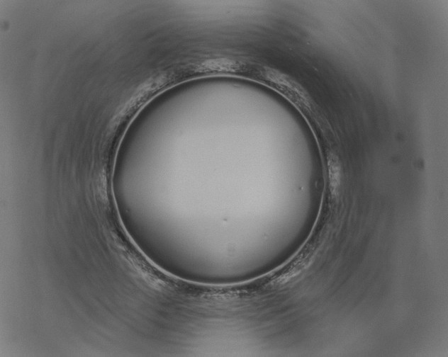 X0000077400729200611032026