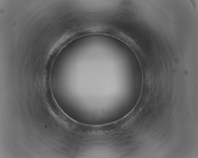 X0000077400730200611032026