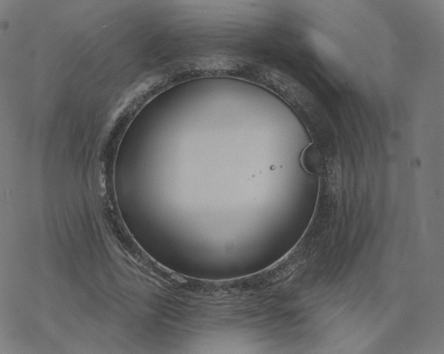 X0000077400731200611032026