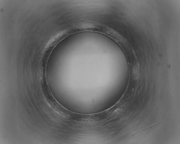 X0000077400732200611032026