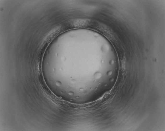 X0000077400733200611032026