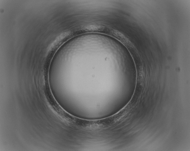 X0000077400734200611032026