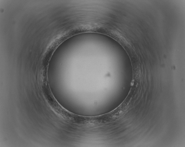 X0000077400736200611032026