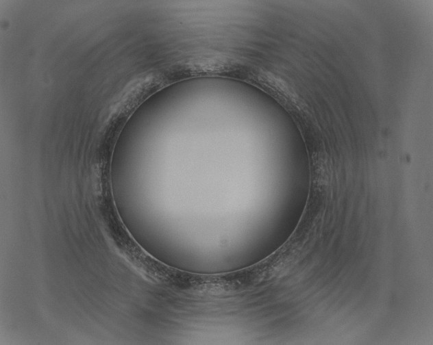 X0000077400738200611032026