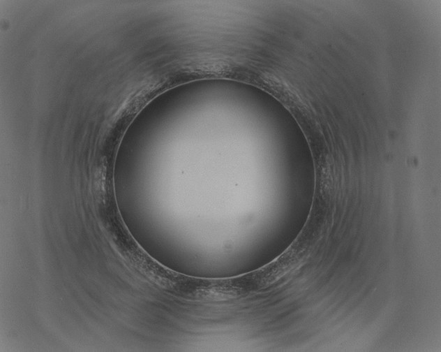 X0000077400739200611032026