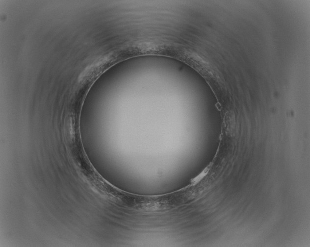 X0000077400740200611032026