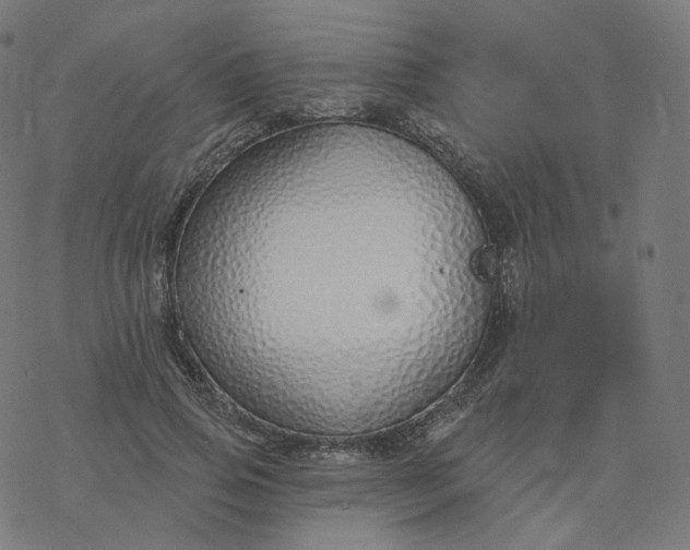 X0000077400741200611032026