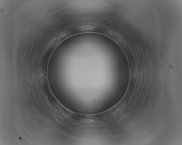 X0000077400743200611032026