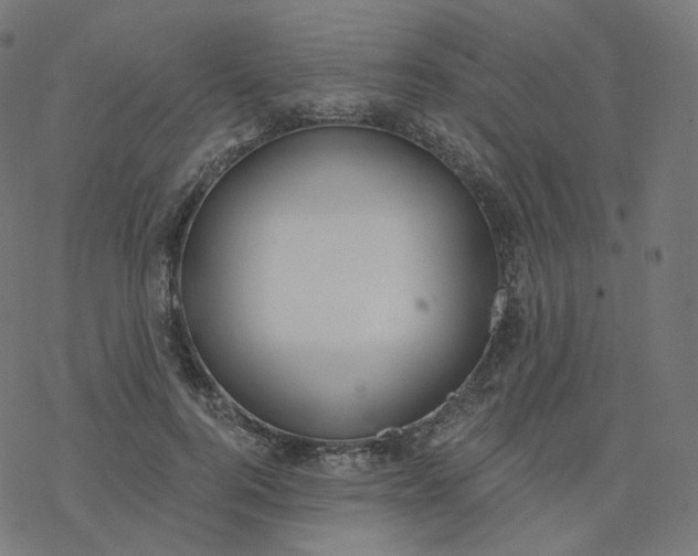 X0000077400744200611032026